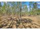 Shaded horse property featuring mature trees and ample space for grazing in a natural rural environment at 4305 Hamilton Rd, Lakeland, FL 33811