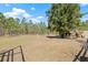 Horses graze peacefully in this fenced pasture area with mature trees and a serene, natural setting at 4305 Hamilton Rd, Lakeland, FL 33811