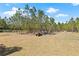 Wide-open lot with room for an ATV and more trees to create your own private retreat at 4305 Hamilton Rd, Lakeland, FL 33811
