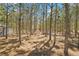 The expansive property features mature trees providing shade and a serene setting at 4305 Hamilton Rd, Lakeland, FL 33811