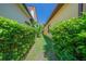 Property side yard featuring well-maintained grass, lush bushes, and narrow space between homes at 8427 Prestbury Dr, Orlando, FL 32832