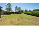 Lush green backyard with manicured hedges providing privacy and enhancing the outdoor space at 6898 Sw 95Th Cir, Ocala, FL 34481