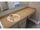 Bathroom vanity with a clean white sink, a neutral countertop, and classic cabinet hardware at 3821 Whitedove Dr, Lakeland, FL 33812