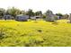 Wide-angle backyard view with green grass and sheds on a sunny day at 2514 Sea Oats N Cir, Lakeland, FL 33815