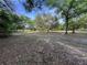 Expansive vacant lot with mature trees offering shade and privacy at 4586 Cr 696, Webster, FL 33597