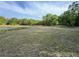 Expansive vacant lot with waterfront view and scattered trees at 4586 Cr 696, Webster, FL 33597