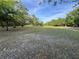 Large grassy lot with trees and lush greenery surrounding the property at 4586 Cr 696, Webster, FL 33597