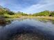 Scenic pond with lily pads and lush greenery, great for nature enthusiasts at 4586 Cr 696, Webster, FL 33597
