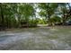 Large grassy lot surrounded by mature trees and greenery at 4586 Cr 696, Webster, FL 33597