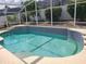 Sparkling pool with blue tile trim and screened enclosure, surrounded by lush greenery at 319 Bailey Cir, Davenport, FL 33897