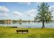Beautiful lake view with a bench and a large tree on the shoreline, with a cityscape in the background at 515 Frank Lloyd Wright Way, Lakeland, FL 33803