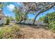 Large backyard featuring a white fence, mature trees and space for outdoor activities at 7013 Beverly Rd, Lakeland, FL 33813