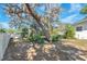 Lush backyard featuring mature trees, a white fence, and a well-maintained lawn at 7013 Beverly Rd, Lakeland, FL 33813