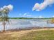 Enjoy tranquil lake views from the shoreline at 917 Shawna Shrs, Haines City, FL 33844