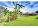 Large backyard with well-kept lawn, banana trees and pond view at 3518 Remington Oaks Way, Lakeland, FL 33810