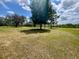 Expansive backyard with mature trees providing shade and a peaceful setting at 1464 Mount Pleasant Rd, Groveland, FL 34736