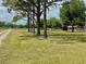 A serene view of a dirt road leading through a large grassy property lined with mature trees at 1464 Mount Pleasant Rd, Groveland, FL 34736