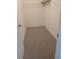 Walk-in closet featuring carpeted floor and wire shelving at 1219 Santos Pl, Lady Lake, FL 32159