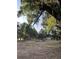 Spacious backyard features mature trees and a fire pit, ideal for outdoor enjoyment at 18700 Ravenswood Rd, Altoona, FL 32702