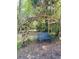Backyard featuring a whimsical tree swing and platform nestled within lush trees at 18700 Ravenswood Rd, Altoona, FL 32702