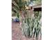 Inviting backyard featuring a wooden swing, lush greenery, and a charming treehouse at 18700 Ravenswood Rd, Altoona, FL 32702