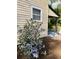 Exterior detail shows blooming blue flowers and a glimpse of the home's porch at 18700 Ravenswood Rd, Altoona, FL 32702