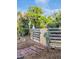 View of the pool area surrounded by a wood fence and lush greenery at 18700 Ravenswood Rd, Altoona, FL 32702