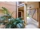 Exterior entryway featuring brown wood siding, a decorative palm tree and a view of the stairs to the second floor at 490 N Pin Oak Pl # 112, Longwood, FL 32779