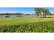 Scenic view of the lake surrounded by lush greenery and mature trees, offering a serene backdrop at 12329 Sw 140Th Loop, Dunnellon, FL 34432