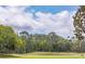 Picturesque golf course featuring a green fairway, mature trees, and a partly cloudy sky at 30505 Island Club Dr., Deer Island, FL 32778