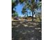 Sprawling property featuring home with mature trees and large front yard, parked red pickup truck adds rustic touch at 8955 Rhoden Loop W Rd, Fort Meade, FL 33841