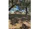 Picturesque home surrounded by majestic trees and lush greenery, offering privacy and a connection with nature at 8955 Rhoden Loop W Rd, Fort Meade, FL 33841