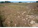 Extensive field of land, highlighting the rural setting and the opportunity for agricultural use or development at 8955 Rhoden Loop W Rd, Fort Meade, FL 33841