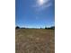 Expansive undeveloped lot with distant trees under a clear sky, offering endless possibilities for development at 8955 Rhoden Loop W Rd, Fort Meade, FL 33841