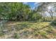 Large partially wooded backyard with playset and cage at 803 Mccranie Rd, Lakeland, FL 33809