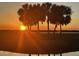 Breathtaking sunset view with silhouette of palm trees and water reflections at 990 Keen Rd, Frostproof, FL 33843