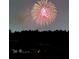Fireworks display creates a vibrant and exciting community celebration at 7071 Spring Park Dr, Winter Garden, FL 34787