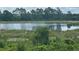 Scenic view of a peaceful lake surrounded by lush vegetation at 7071 Spring Park Dr, Winter Garden, FL 34787