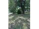 Large trees and green grass surround this home in a serene residential area, perfect for enjoying outdoor activities at 1211 Ne 4Th St, Mulberry, FL 33860