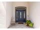 Elegant front entrance with a decorative door, tiled porch, and potted plant at 5008 Ne 125Th Loop, Oxford, FL 34484