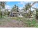 Lush backyard with palm trees, verdant greenery, patio and partial view of the house at 430 Alturas Babson Park Cutoff, Lake Wales, FL 33859