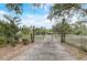 Long driveway leading to gated property with lush greenery and mature trees at 430 Alturas Babson Park Cutoff, Lake Wales, FL 33859