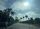 View of the community gates surrounded by palms and manicured greenery at 3205 Sonesta Ct # B, Clermont, FL 34711