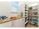 Walk-in pantry offers custom shelving, lots of storage, and a countertop with cabinets at 7418 Barrier Cove Way, Celebration, FL 34747