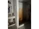 This bathroom features a stained shower, sink and mirror at 10931 Pathfinder Trl, Lakeland, FL 33809