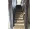 A carpeted staircase features wood paneled walls and trim at 10931 Pathfinder Trl, Lakeland, FL 33809