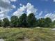 The yard features trees in the background and meadow in the foreground at 10931 Pathfinder Trl, Lakeland, FL 33809