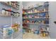 Organized pantry with wire shelving, fully stocked with various food items at 12243 Sawgrass Reserve Blvd, Orlando, FL 32824