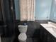 Modern bathroom featuring blue walls, stylish vanity, and updated toilet at 4506 Se 7Th Pl, Ocala, FL 34471