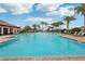 Large swimming pool with clear blue water surrounded by palm trees and comfortable lounge chairs at 3387 Tawny Grove Pl, Lakeland, FL 33811